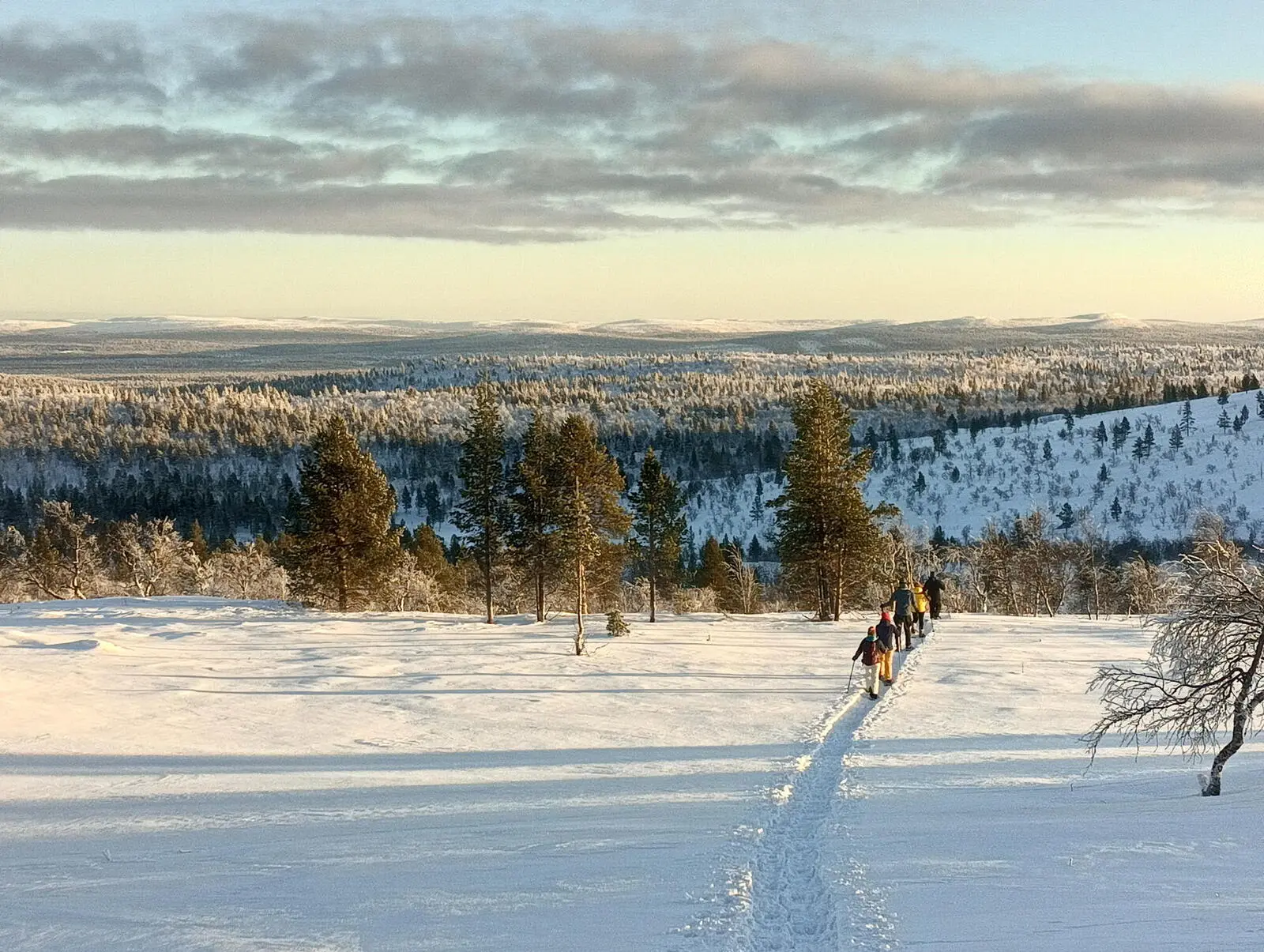 Eine weitere aussichtsreiche Tagestour führt Sie zum Joenkielinen-Fjäll