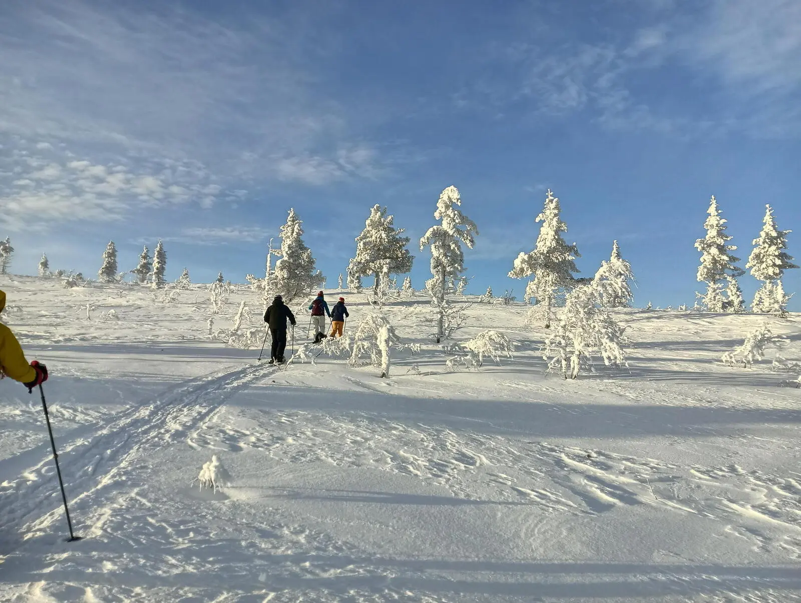 Der Aufstieg zum Morgam Maras Fjäll wird mit traumhauften Weitblicken belohnt