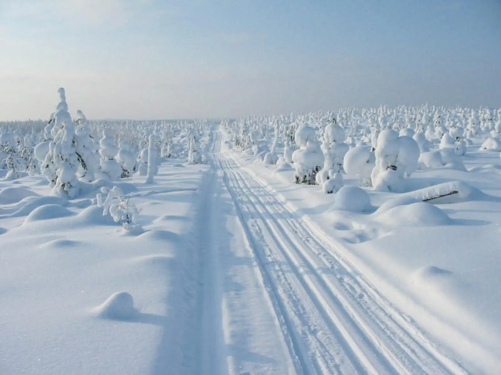 Auf gezogenen Loipen geht es durch die Winterlandschaft