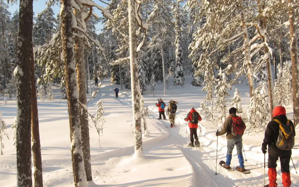 Schneeschuhwandern in Finnlands wildem Osten