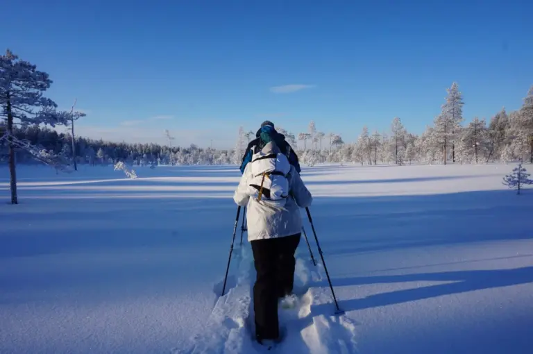 Mit Schneeschuhen folgen Sie den Spuren von Elchen, Wölfen, Luchsen & Hasen