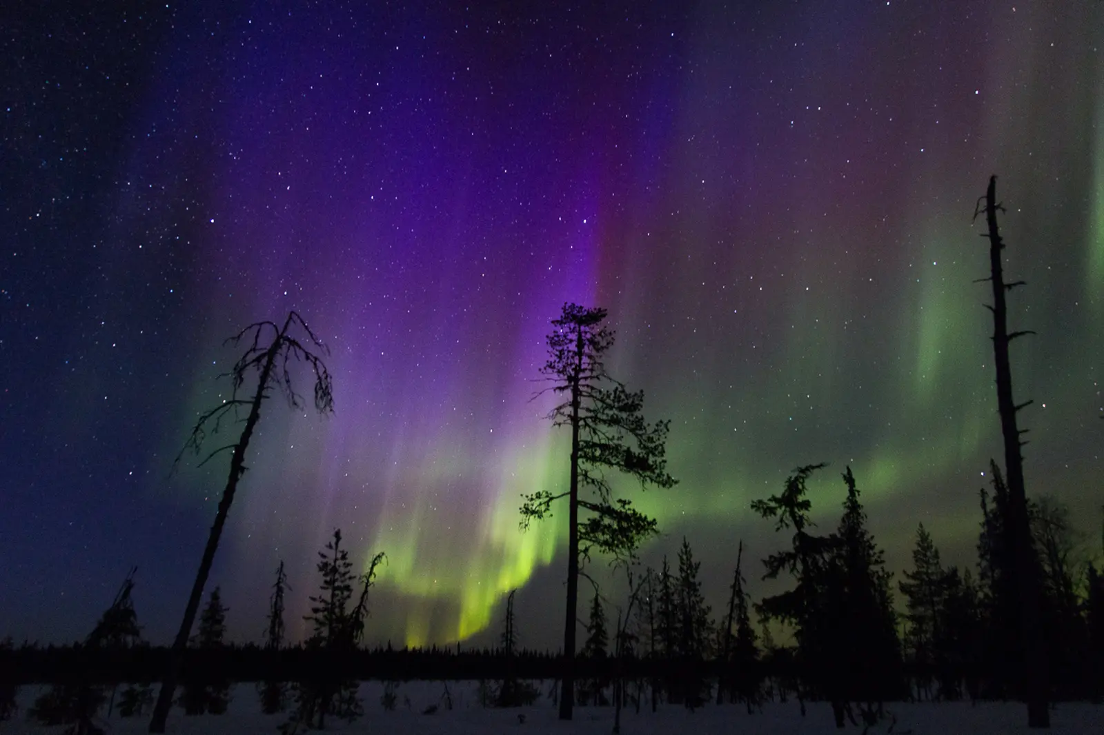 In Finnisch Lappland stehen die Chancen besonders gut, Nordlichter zu sehen