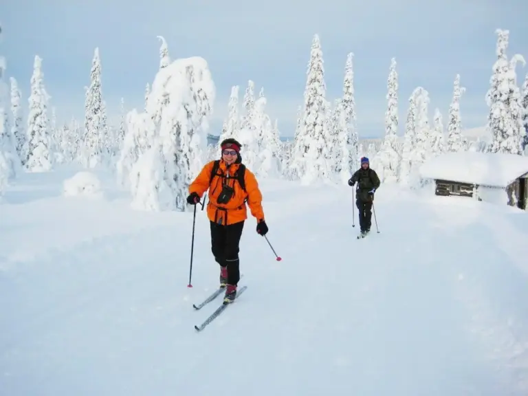 Für routinierte Skilangläufer ist die Tour über dem Polarkreis ideal!