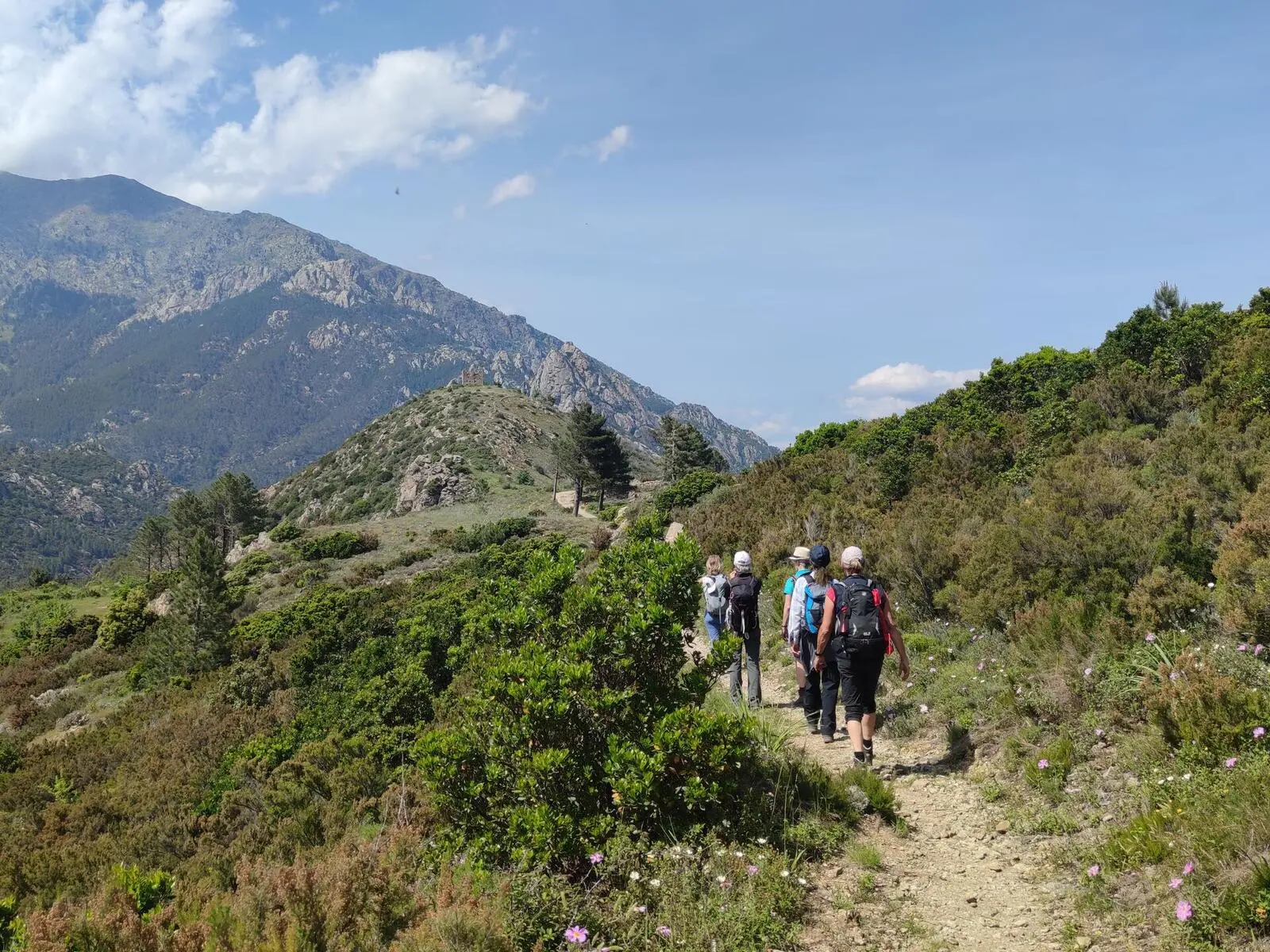 Auf leichten bis mittelschweren Wanderungen erkunden Sie die korsische Bergwelt