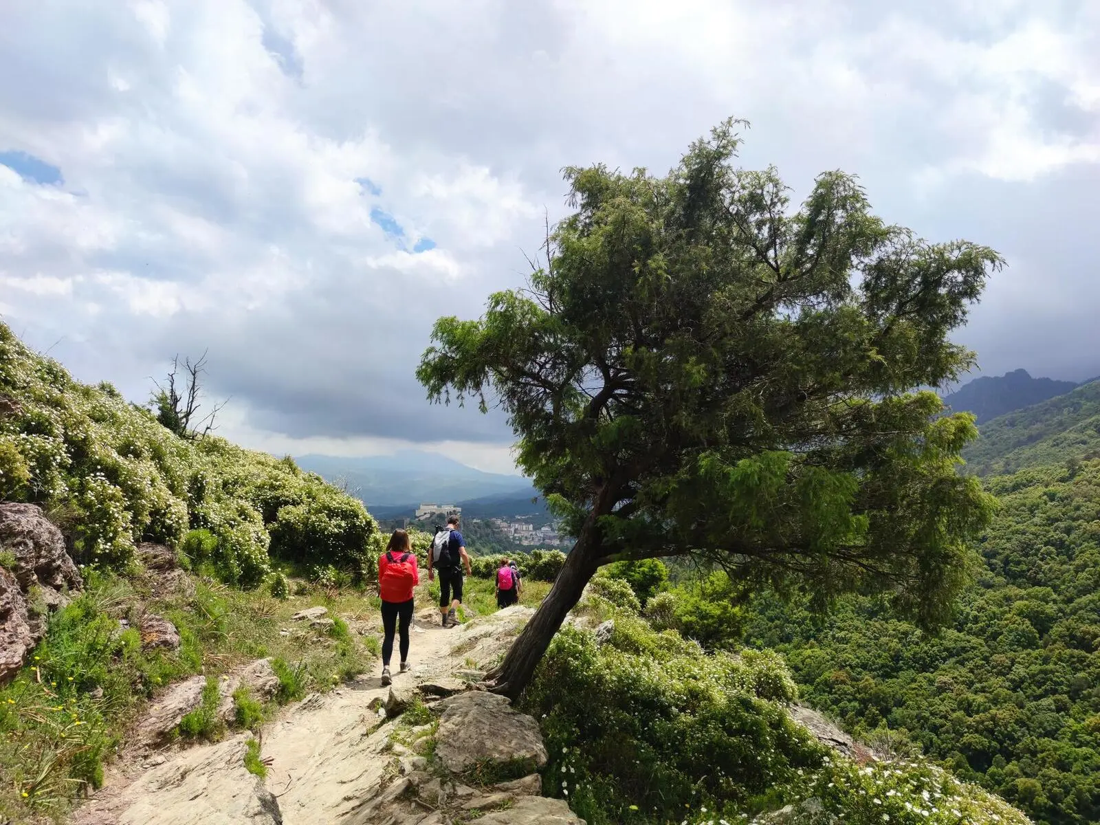 Oberhalb von Corte wandern Sie durchs Tavignano-Tal