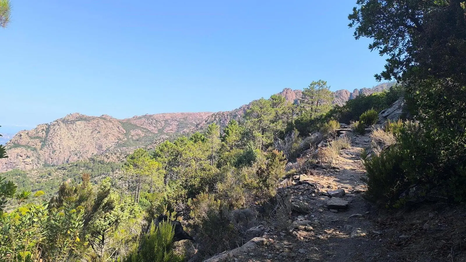 Üppige Vegetation und Ruhe abseits der Küste machen die Wanderung im Wald von Bonifatu besonders. (4. Reisetag)