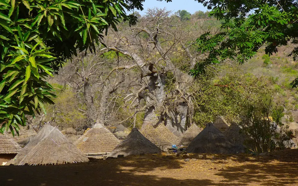 Begegnungen unterm Baobab
