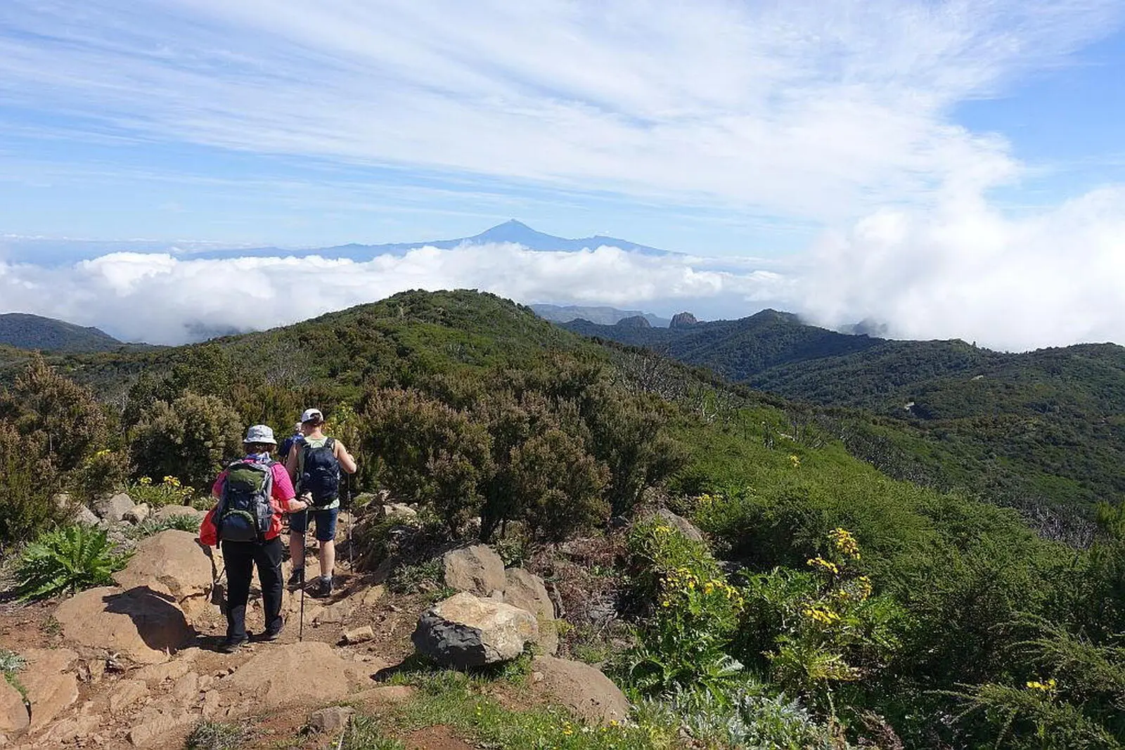 Über dem Wolkenmeer der höchste Berg Spaniens, der Teide. Foto: S. Heitmann