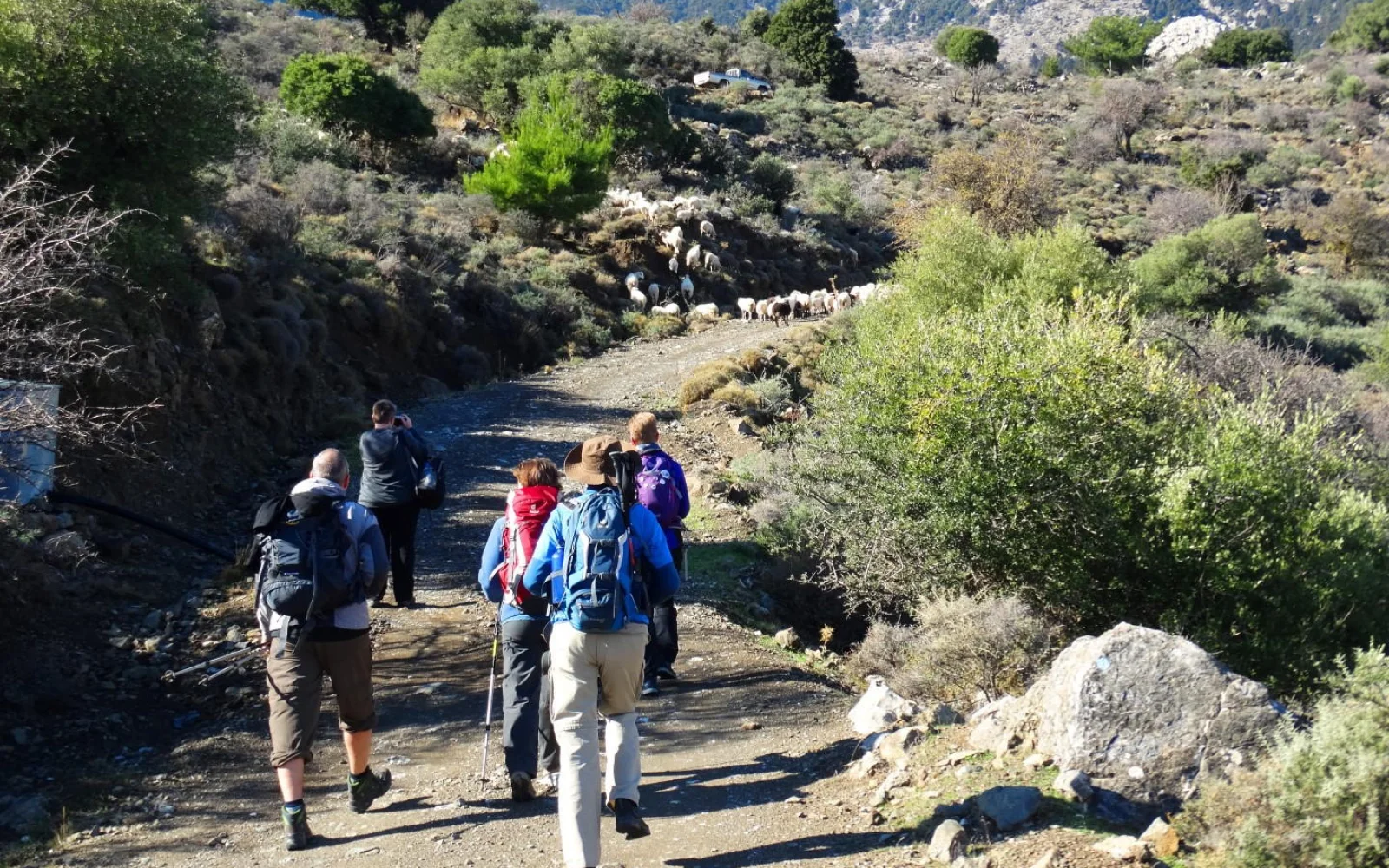 Leichte Wanderungen mit Tagesrucksack führen in die nähere Umgebung.