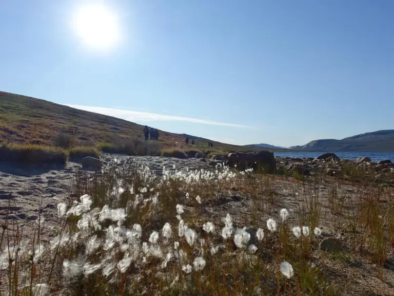 Auf dem Arctic Circle Trail erkunden Sie die grandiose Natur Westgrönlands.