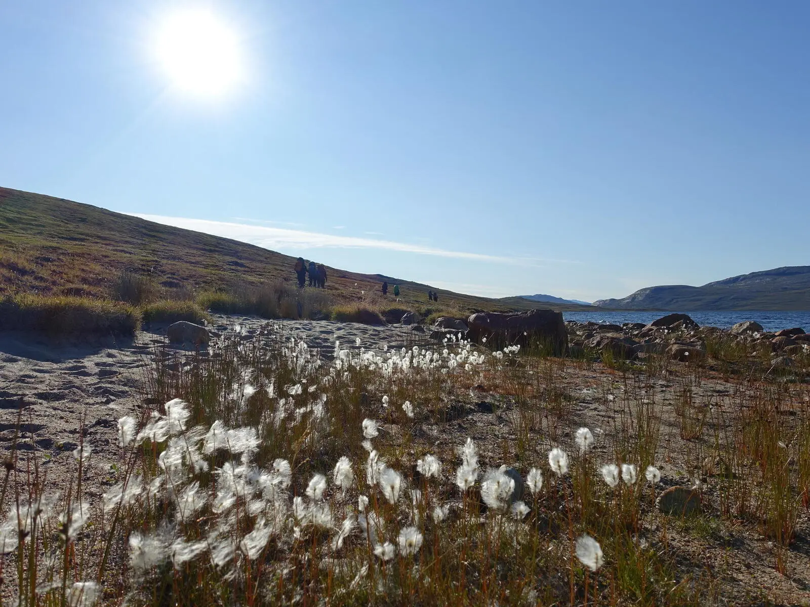 Auf dem Arctic Circle Trail erkunden Sie die grandiose Natur Westgrönlands.