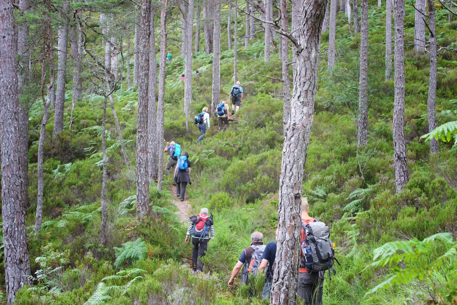 Wanderung im Beinn Eighe Naturschutzgebiet
