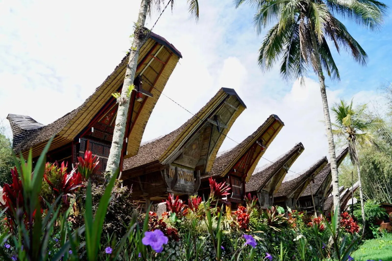 Tongkonan - die Häuser der Toraja erinnern an die Seefahrervergangenheit
