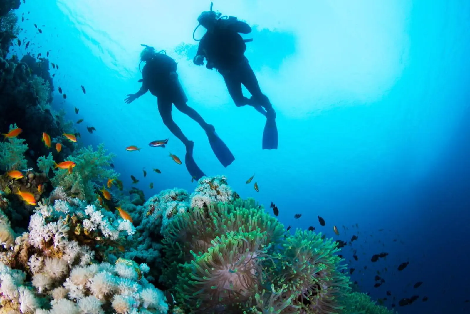 Die Wasserwelt vor Karimunjawa ist noch intakt