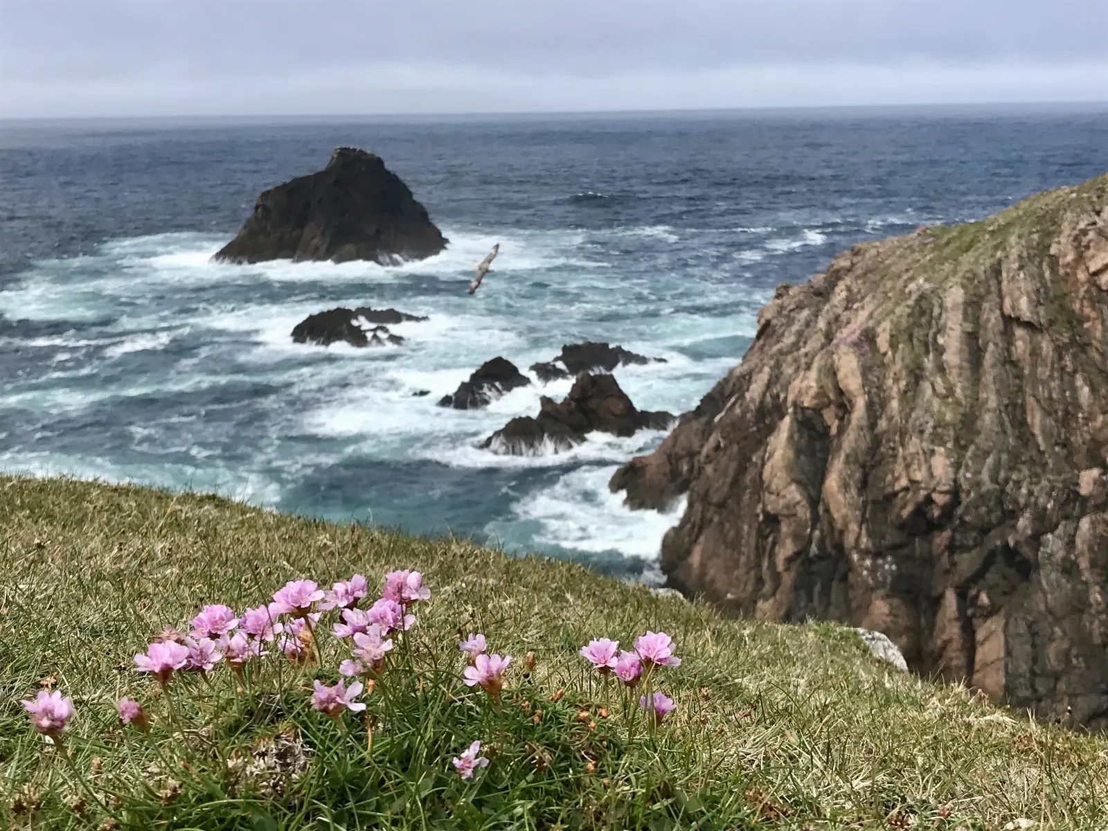 Malerische Steilklippen am Erris Head auf der Mullet Halbinsel