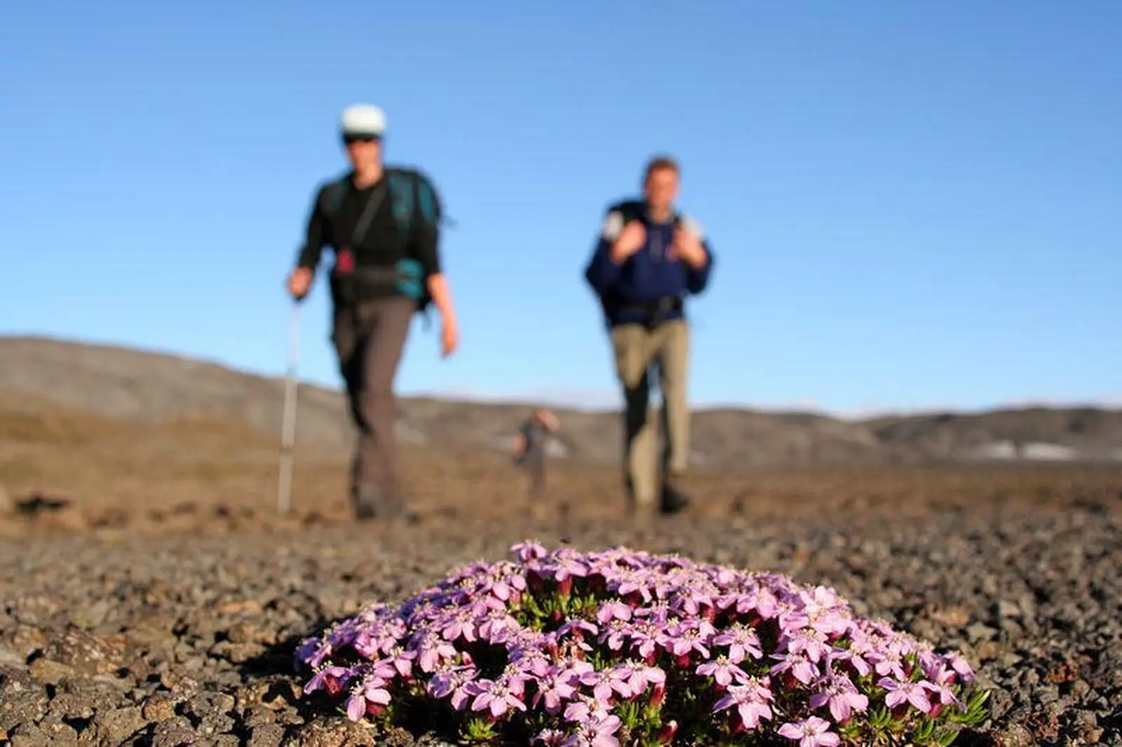 Trekking inmitten herber und zugleich lieblicher Schönheit