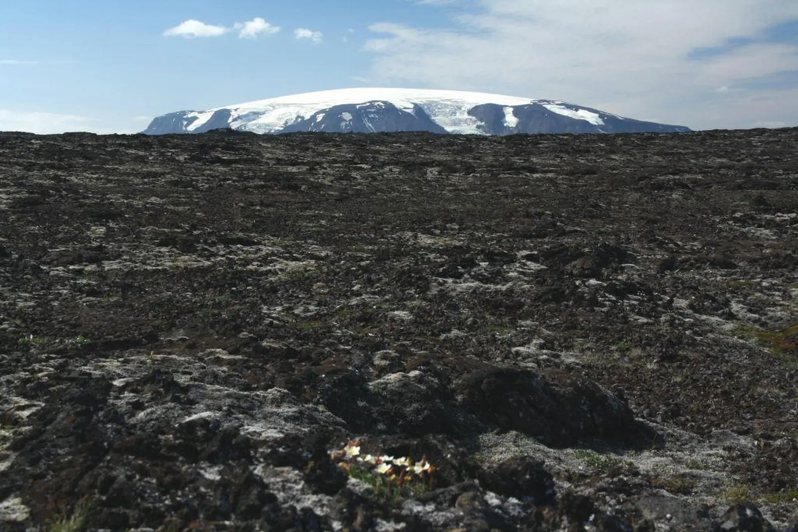 Bilder und Eindrücke, die Niemanden mehr loslassen (im Hintergrund der Eiríksjökull).