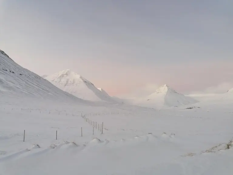 Willkommen im idyllischen Tal Svarfaðardalur!
