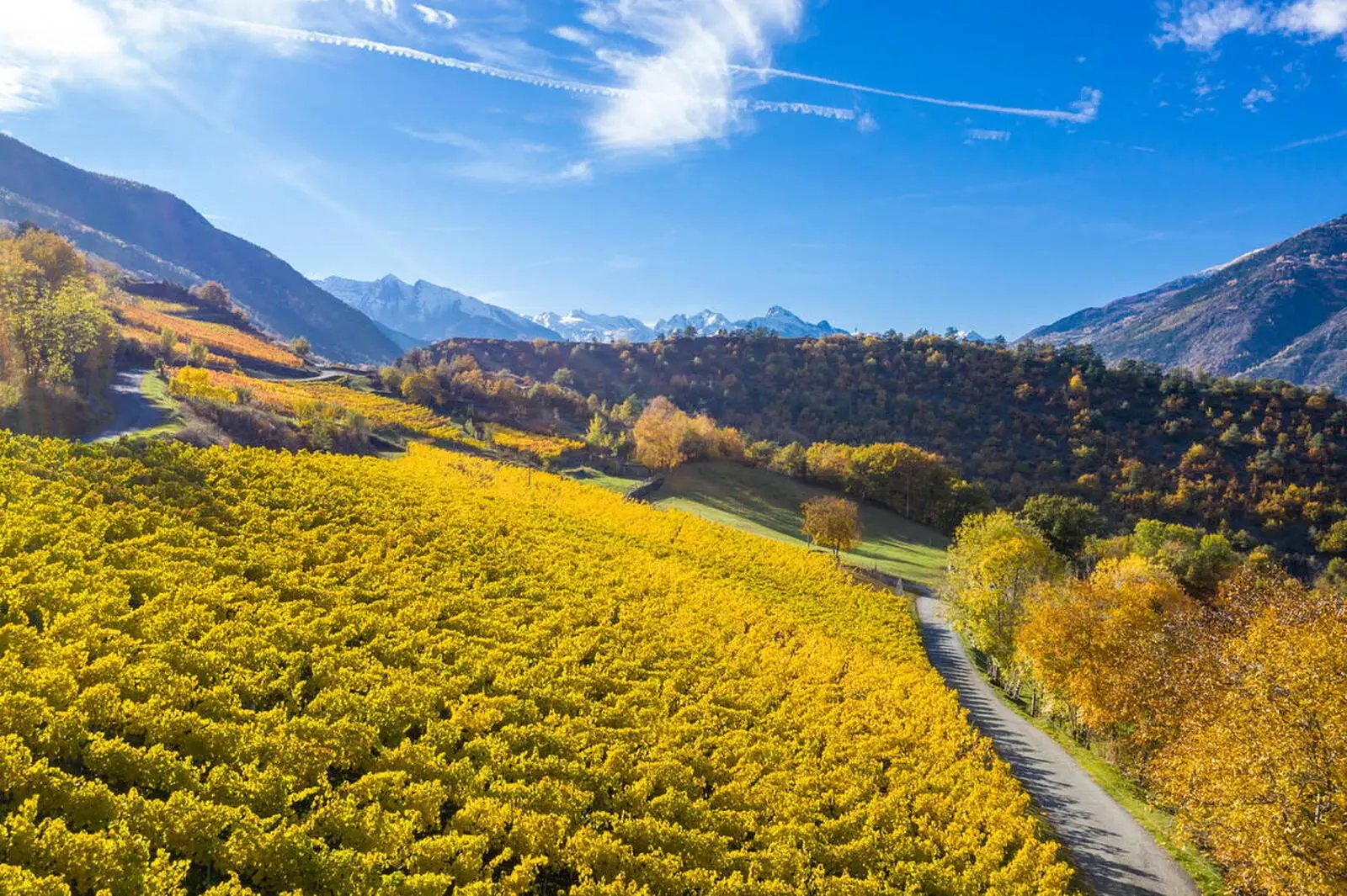 Die Weinberge auf bis zu ca. 1200 m zählen zu den höchstgelegenen der Welt