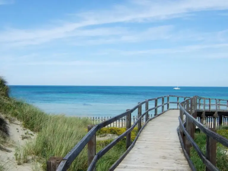 Bei einer Strandwanderung erleben Sie die naturbelassene Küste Apuliens