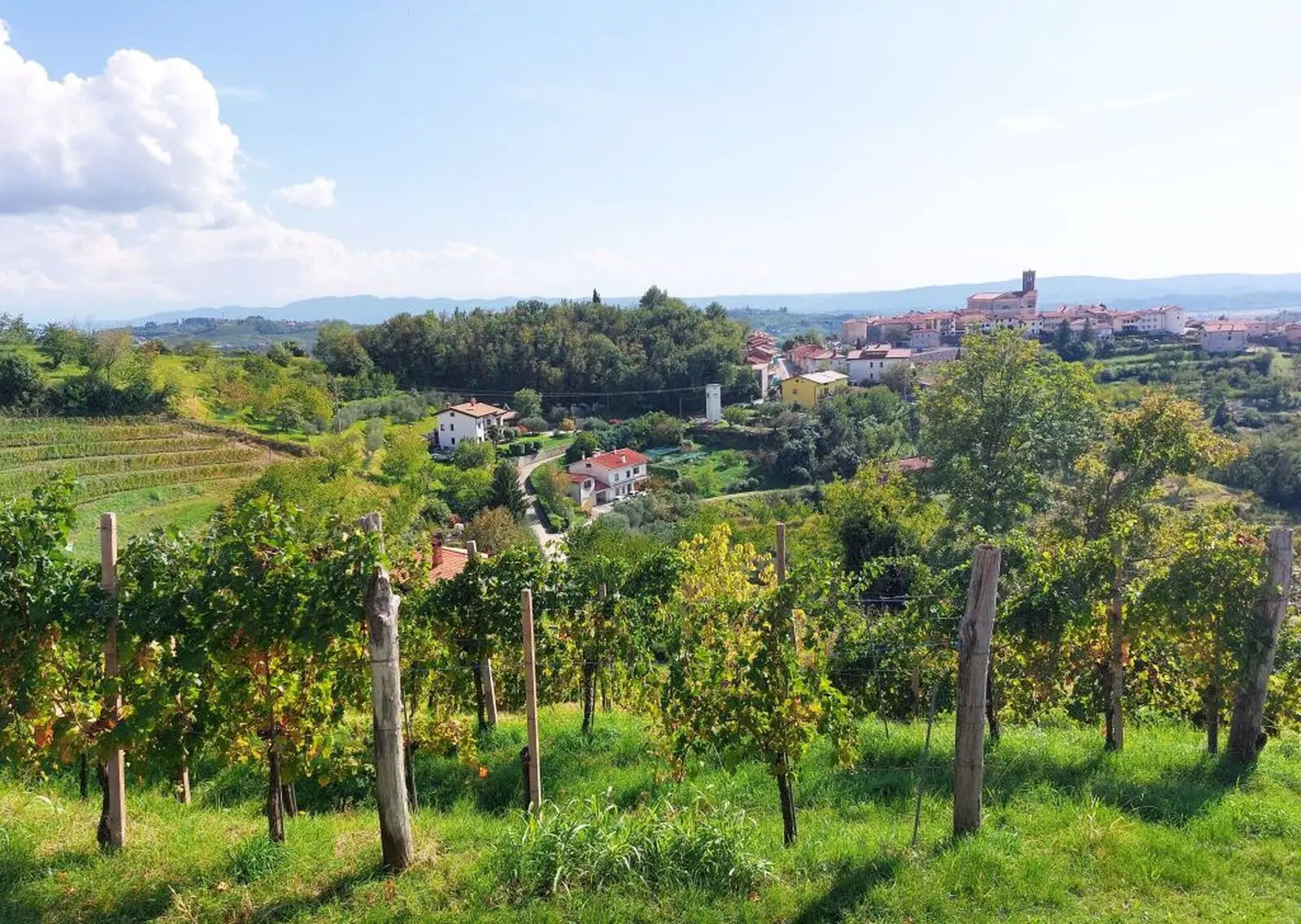Blick auf die "Toskana Sloweniens"