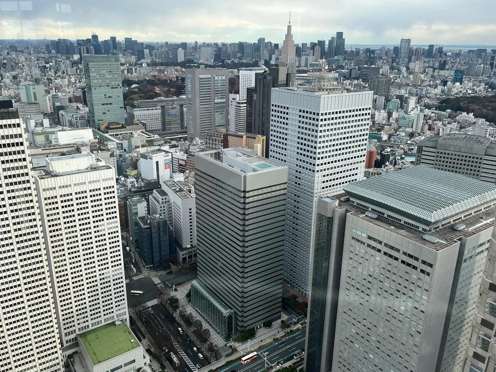 Tokio, entdecke die moderne Millionen-Metropole mit einem lokalen Guide.
