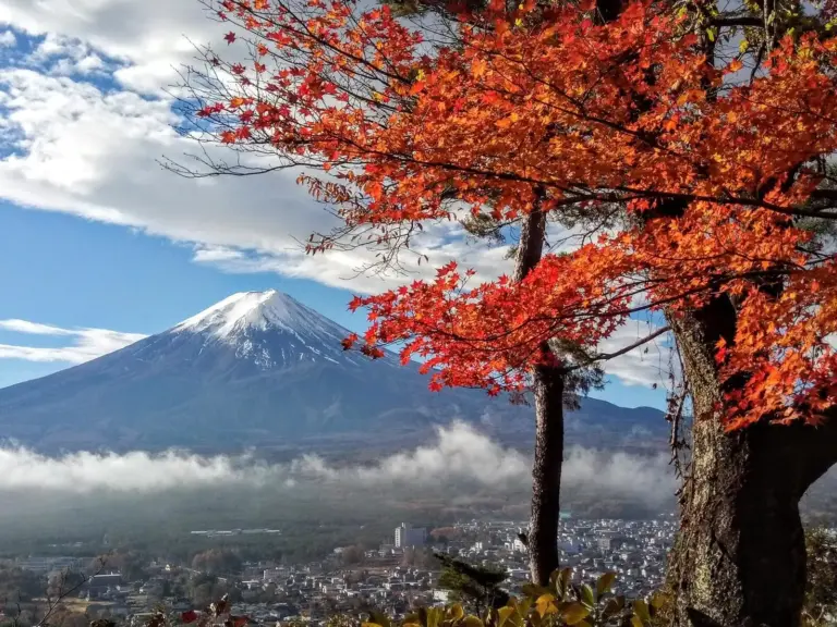 Blick auf den Fuji in leuchtender Pracht inkl. Bootsfahrt auf dem See Ashi
