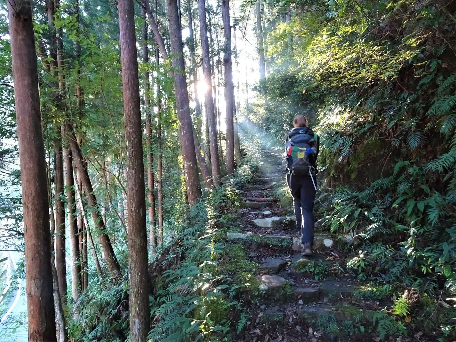 Waldbaden auf dem Kumano-Kodo-Pilgerweg