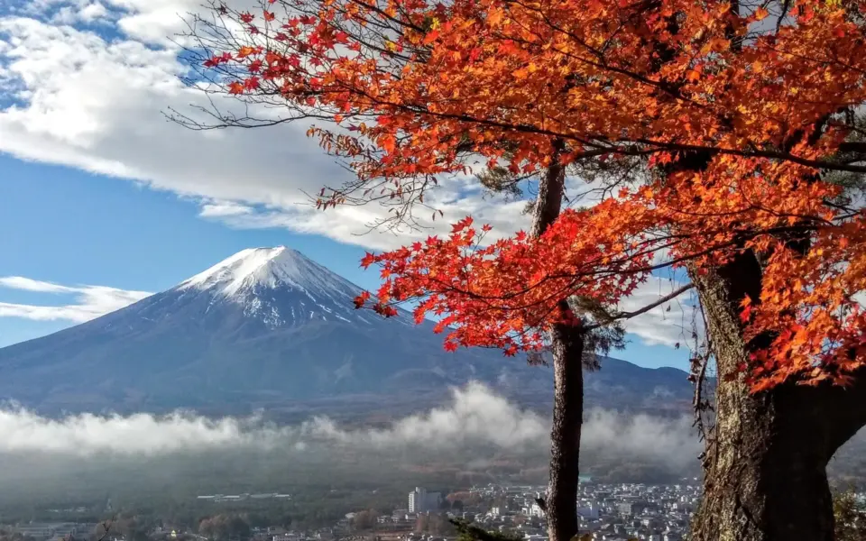 Im Takt der Inseln – von Südjapan bis zum Fuji
