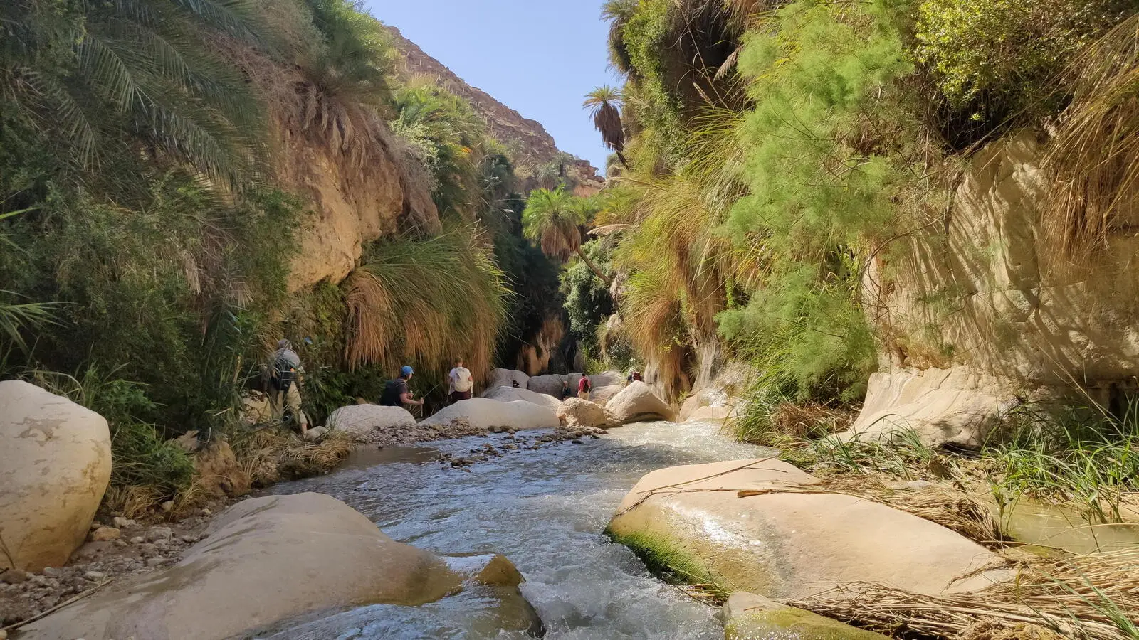 Das Wadi Bin Hamad lernen Sie bei einer kurzen Wanderung kennen