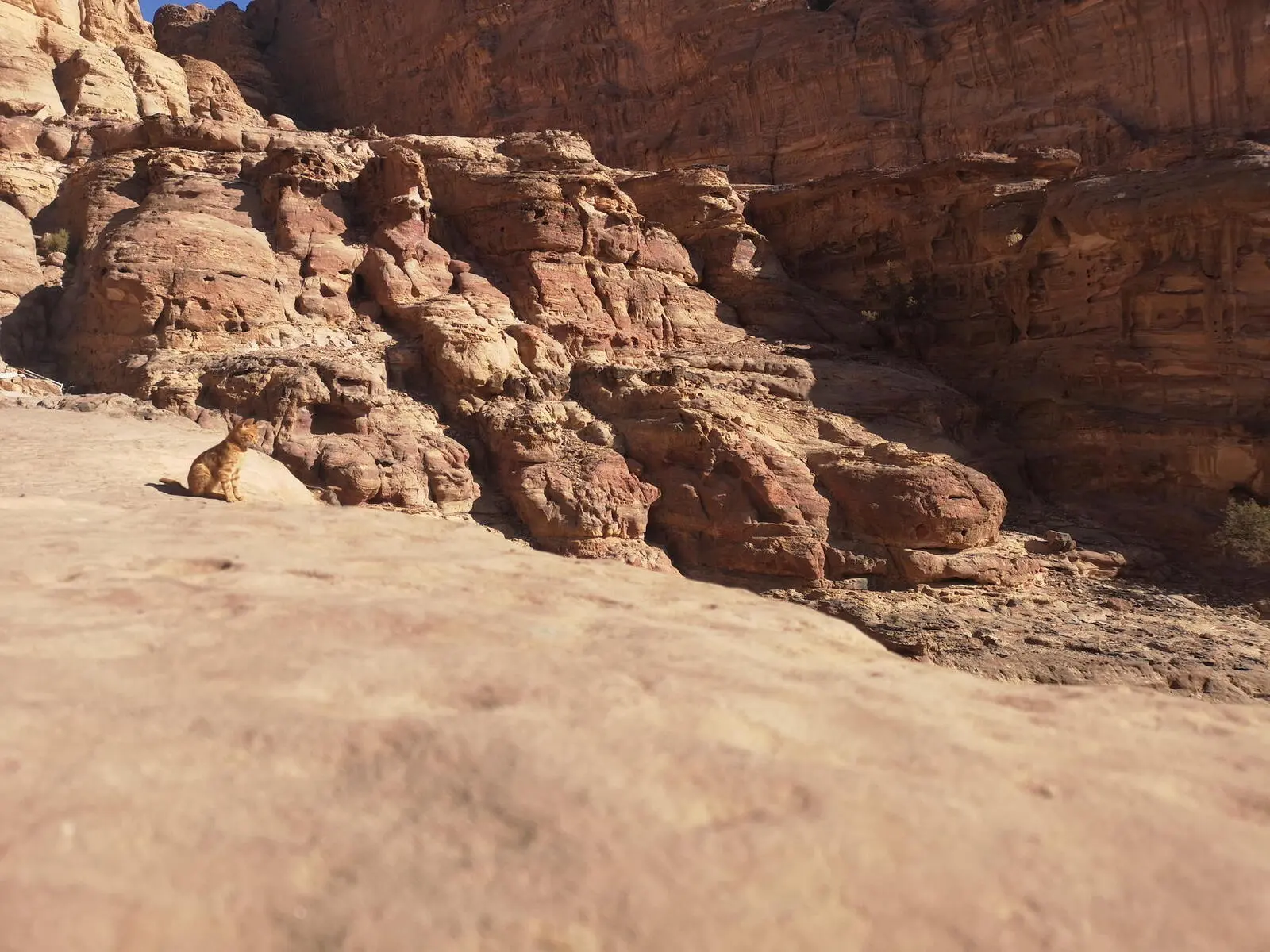 Petra bietet neben eindrucksvollen Bauten auch weitläufige Wandergebietet