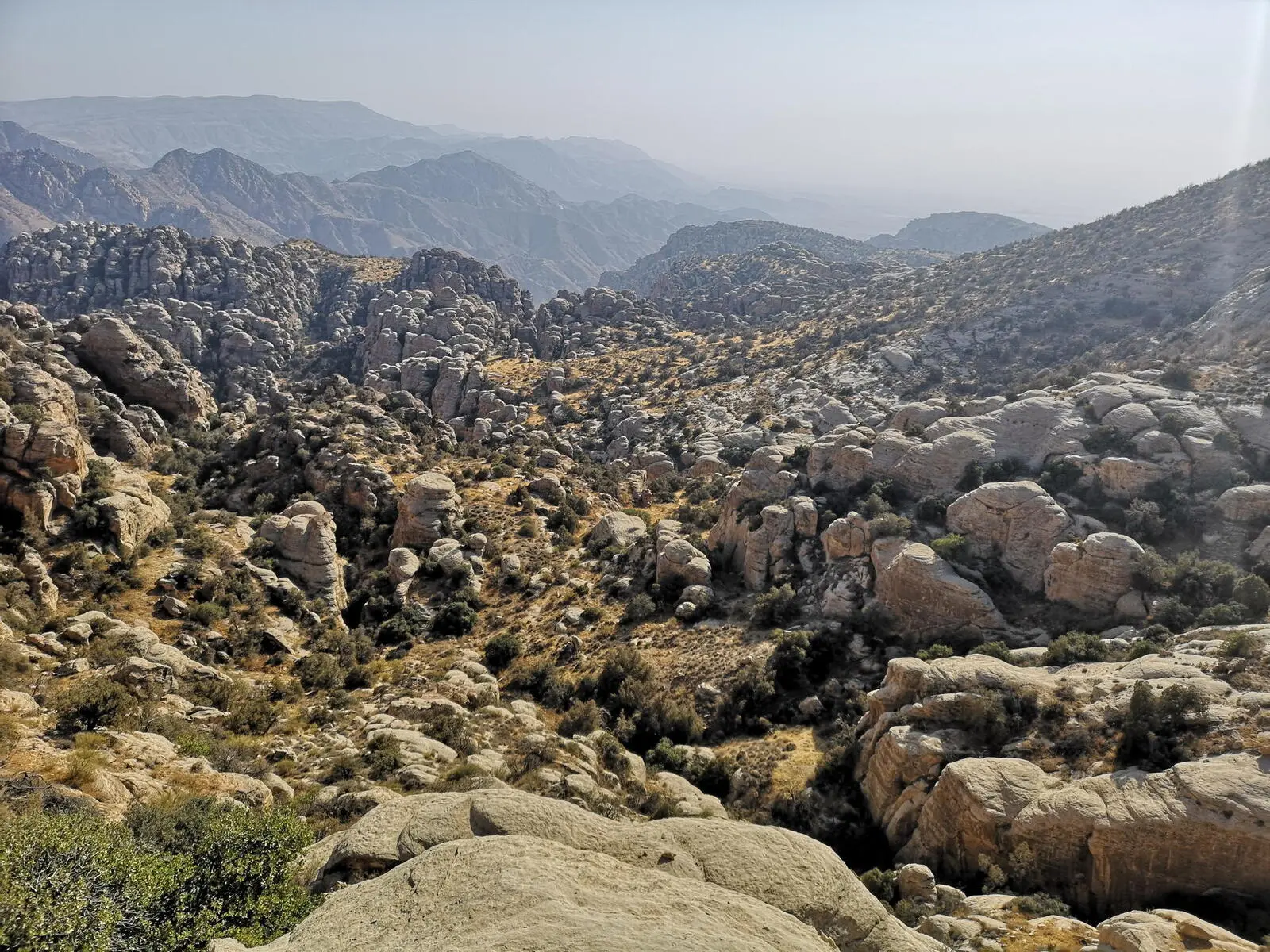 Der Dana-Nationalpark beeindruckt mit reicher Flora und Fauna