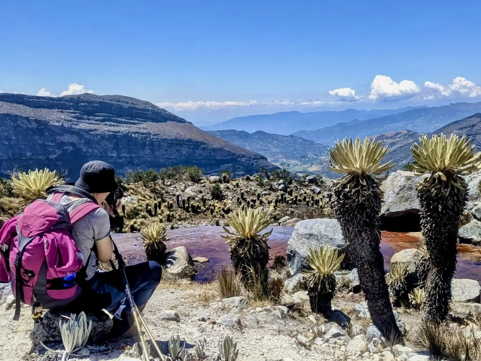 Bunte Lagunen und eine einzigartige Vegetation erwarten Sie im Hochland 