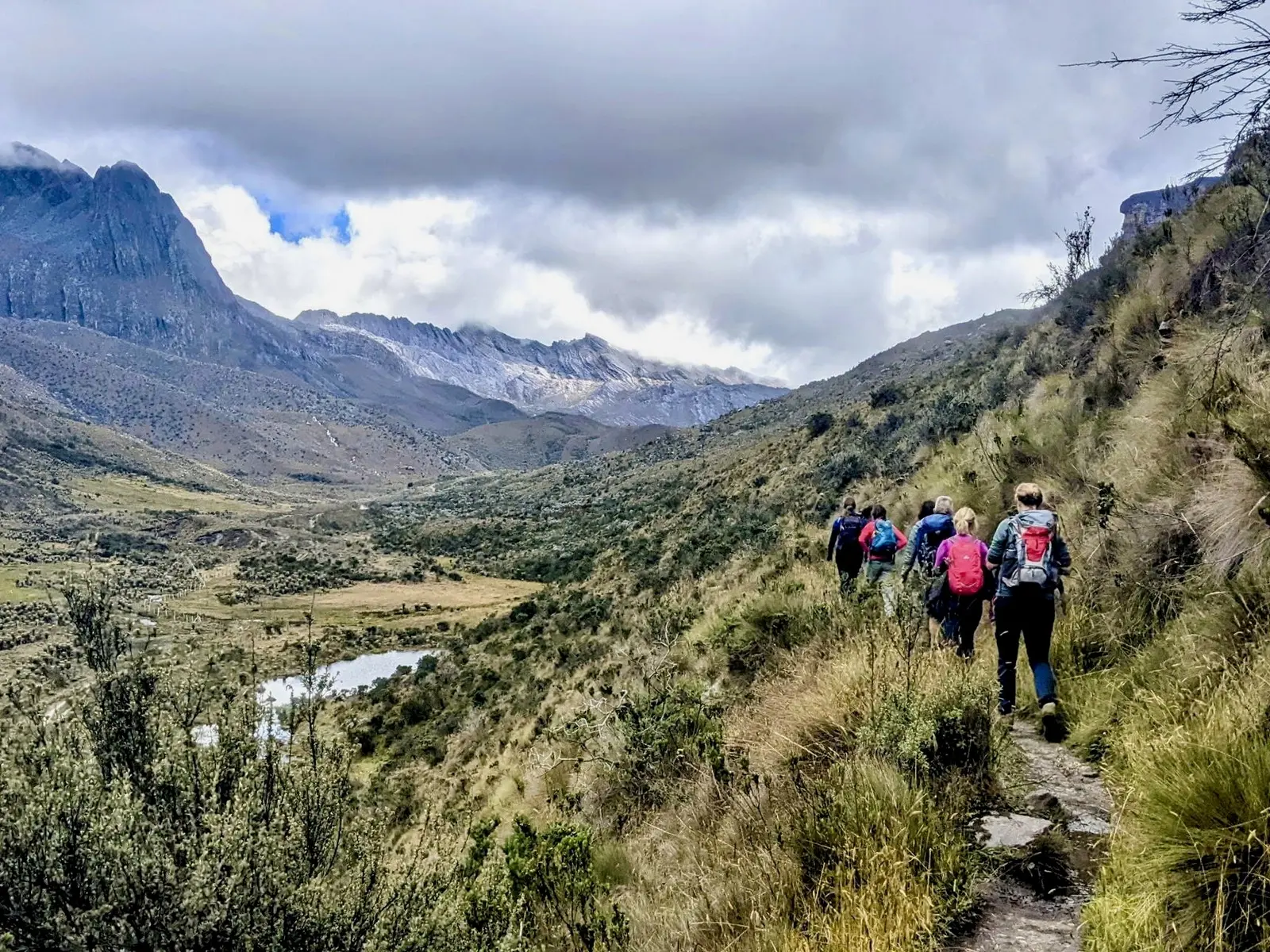 Karge Hochgebirgssteppe im Cocuy-Nationalpark