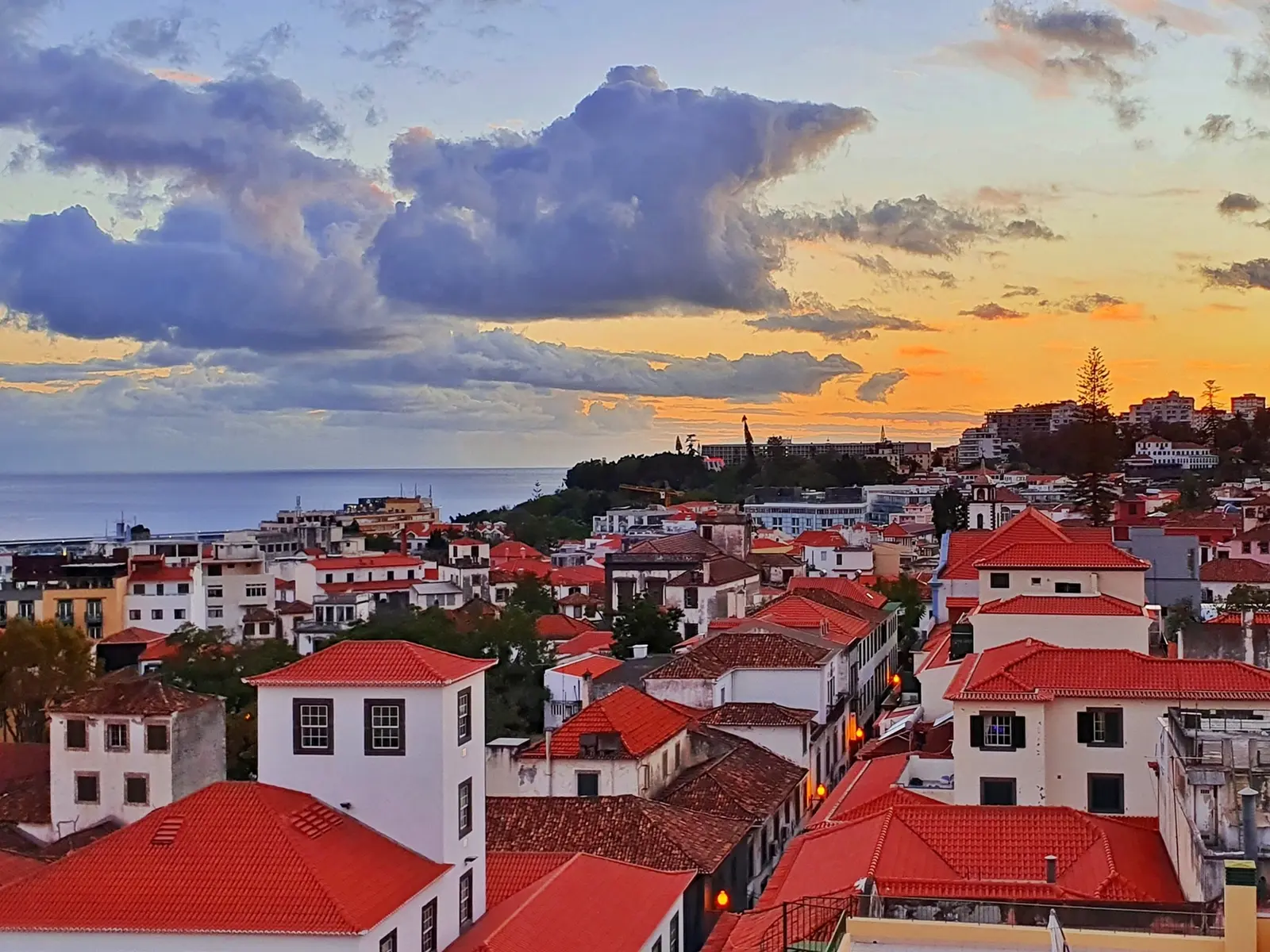 Blick über die Dächer von Funchal, Ausgangspunkt Ihrer Reise