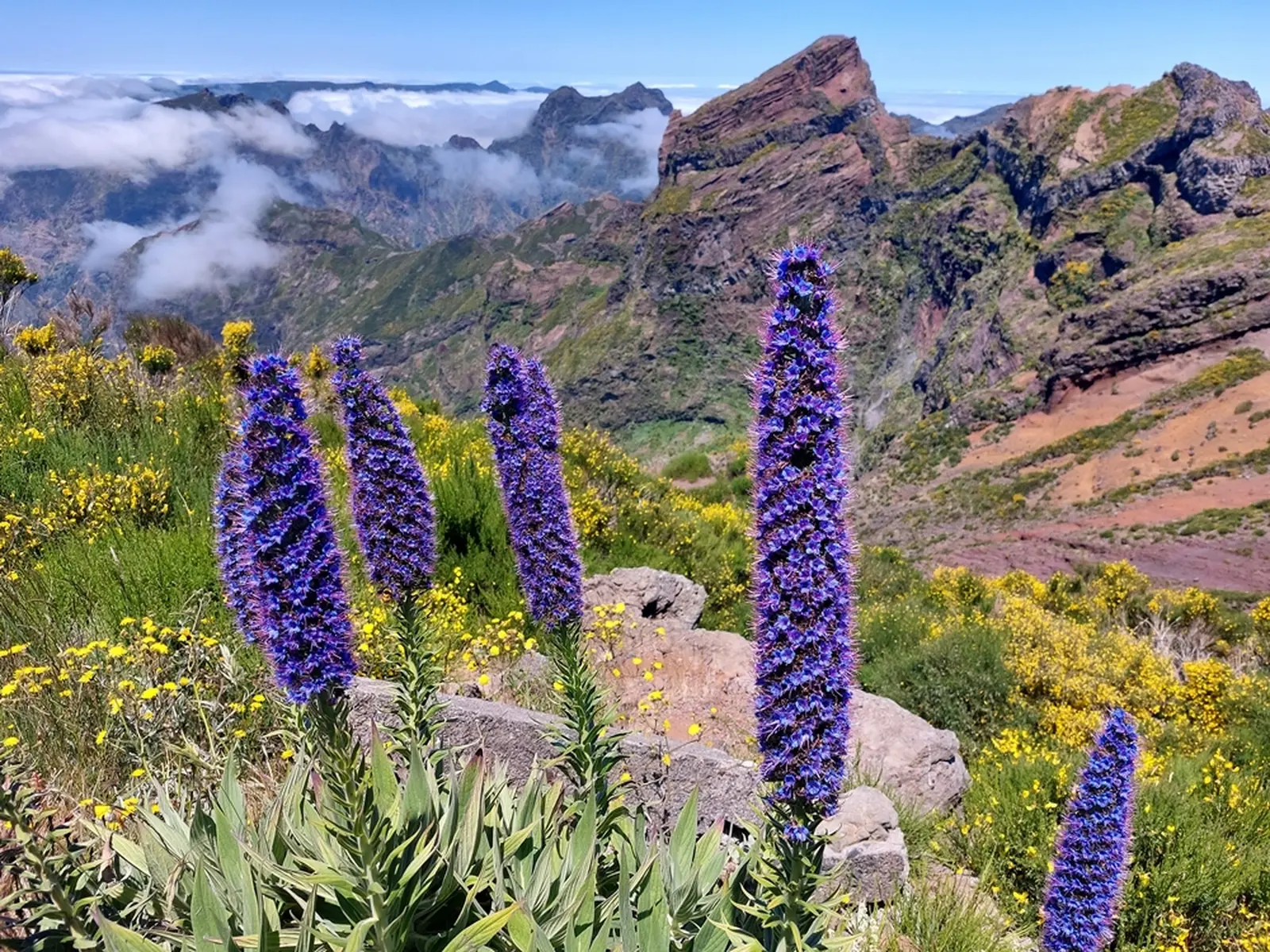 Zum dritthöchsten Berg der Insel, dem Pico do Arieiro 