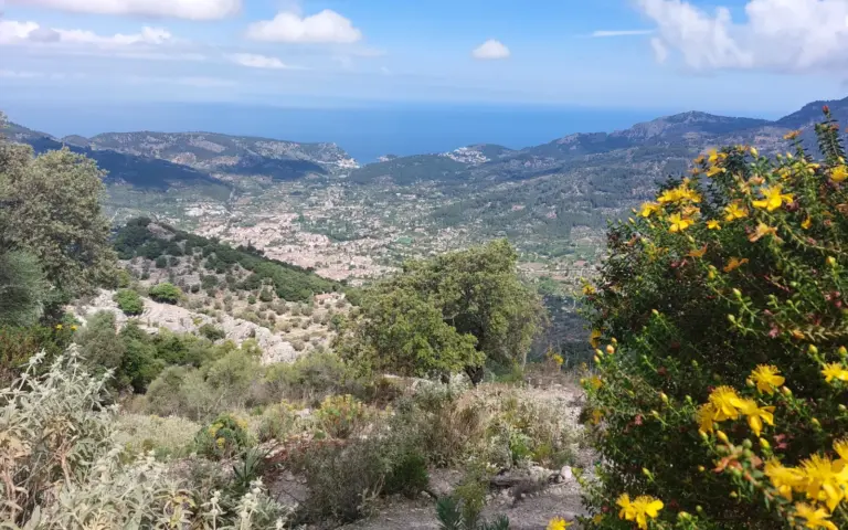 Soller und das Meer liegen vor uns ausgebreitet: Hier verspürt man Ruhe pur