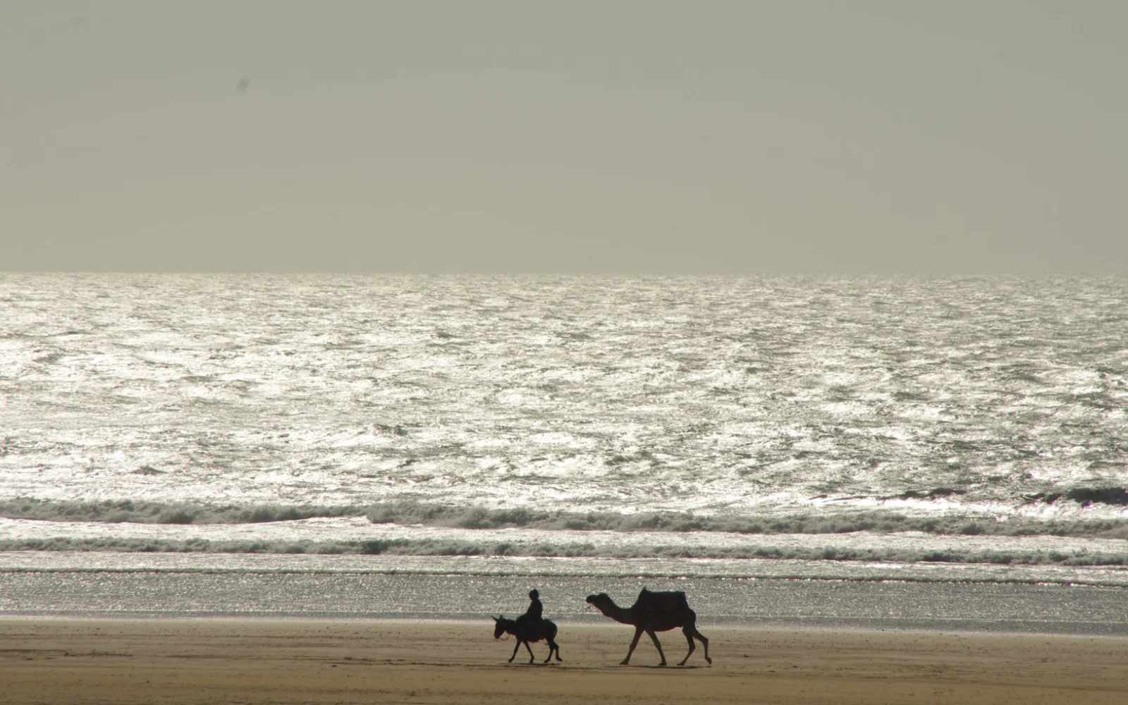 Der Strand von Sidi Kouki ist besonders am Abend landschaftlich reizvoll