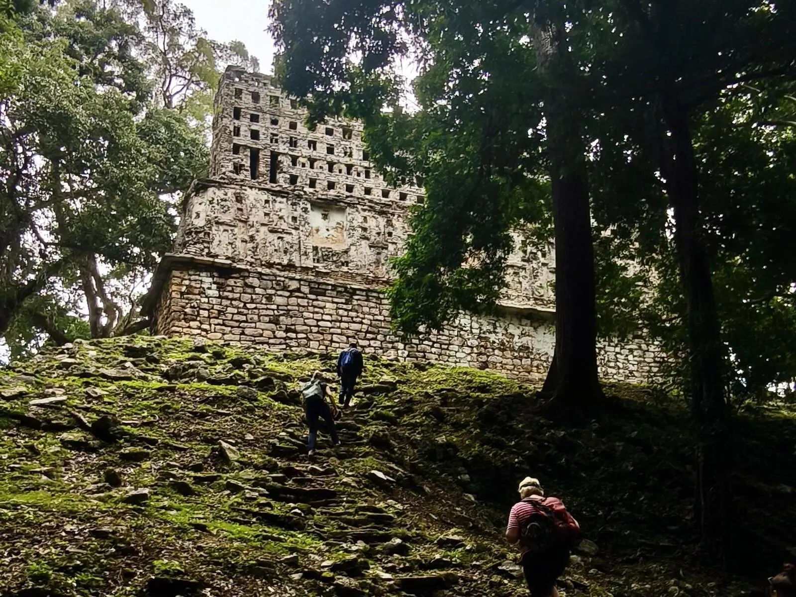 Aktive Erkundung der kaum besuchten Maya-Stadt Yaxchilan im Dschungel
