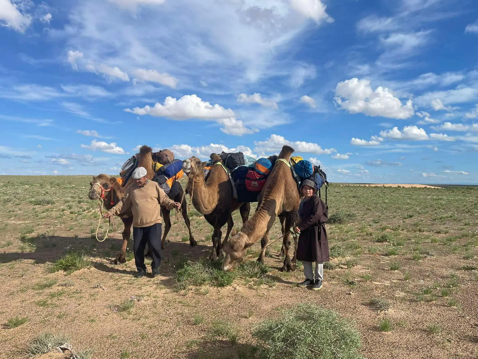 Während Ihrer Trekkingtour in der Gobi transportieren Kamele Ihr Gepäck.