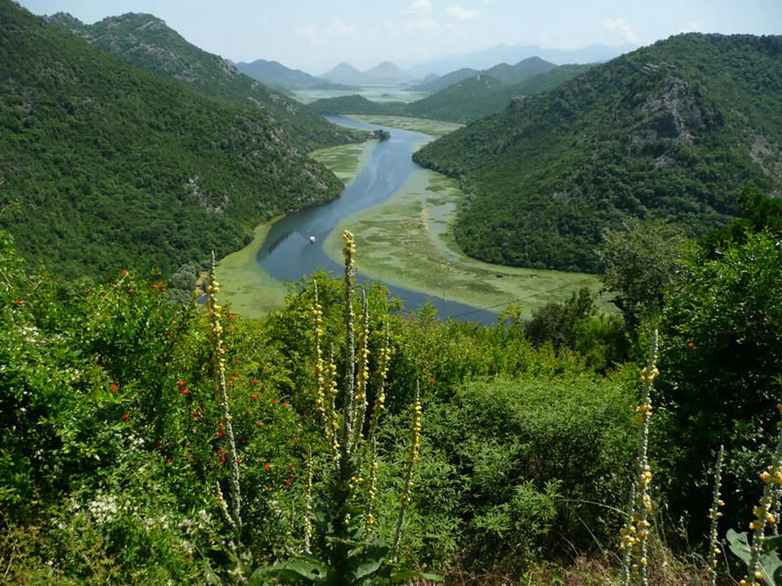 Der malerische Skadarsee – Naturidyll und Vogelparadies