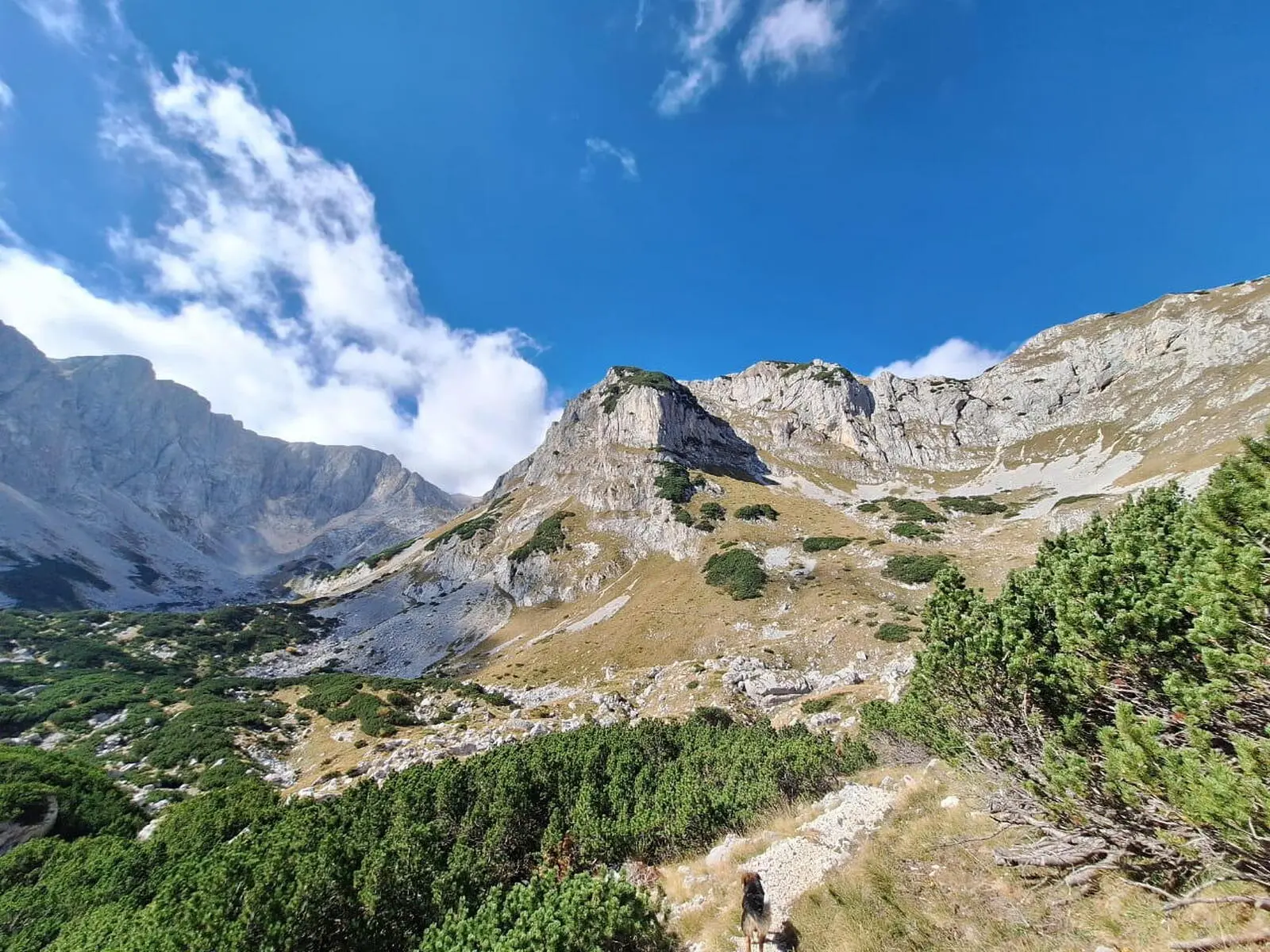 Freuen Sie auf Bergwanderungen u.a. im Tara - und im Durmitor Nationalpark