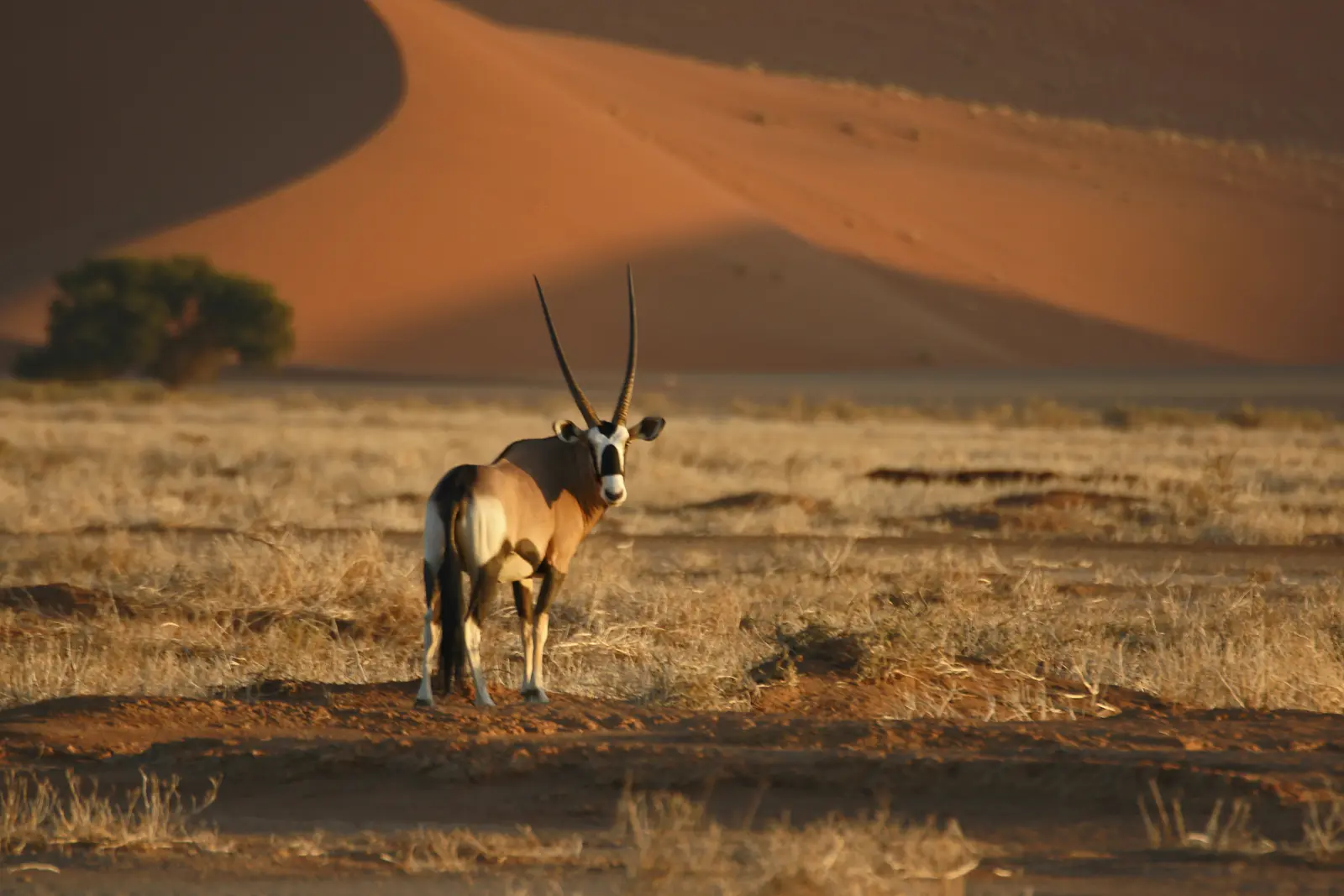 Willkommen in Namibia...
