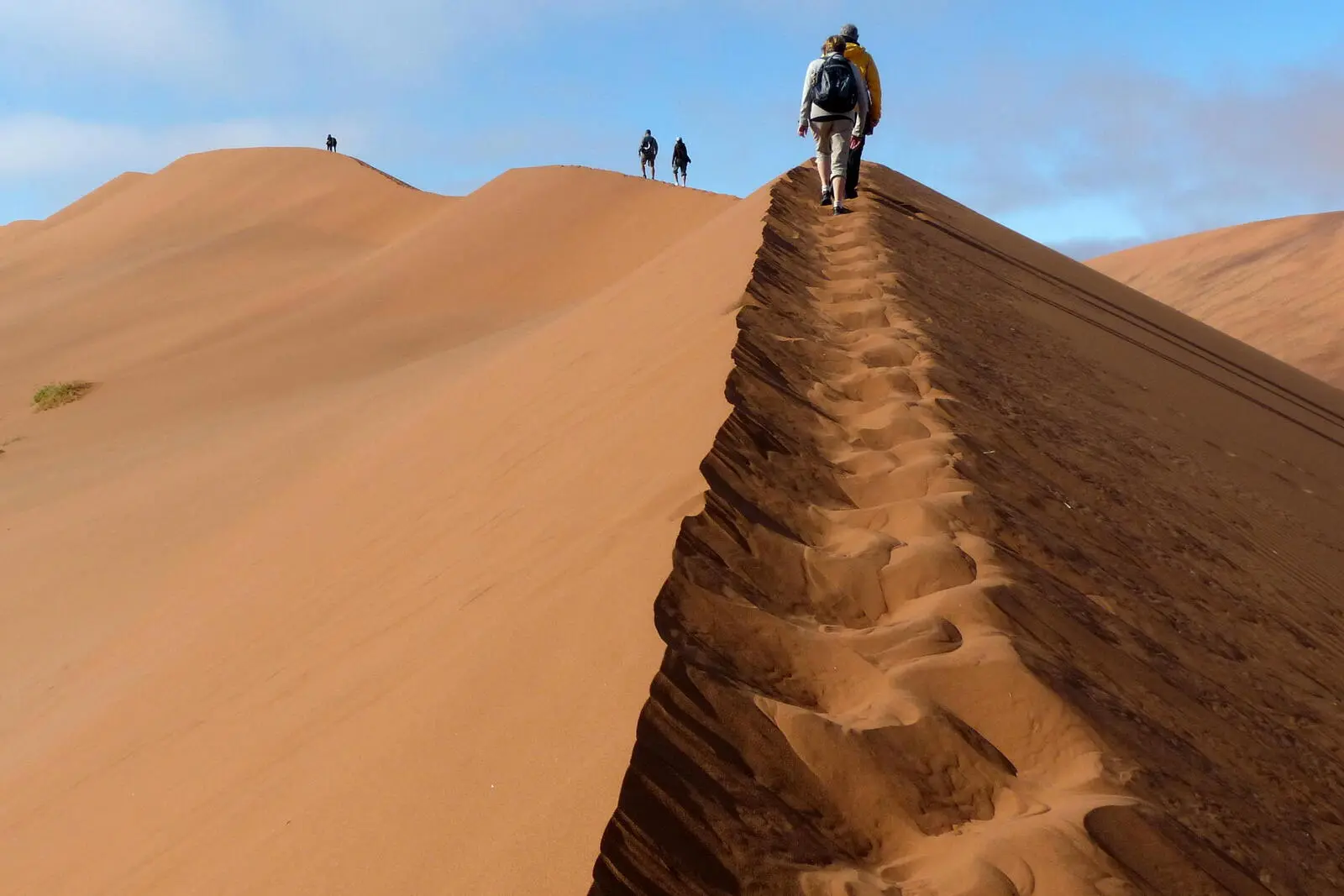 Erlebe die brennende Wüste bei Sonnenaufgang! – Die Düne 45 im Gebiet von Sossusvlei