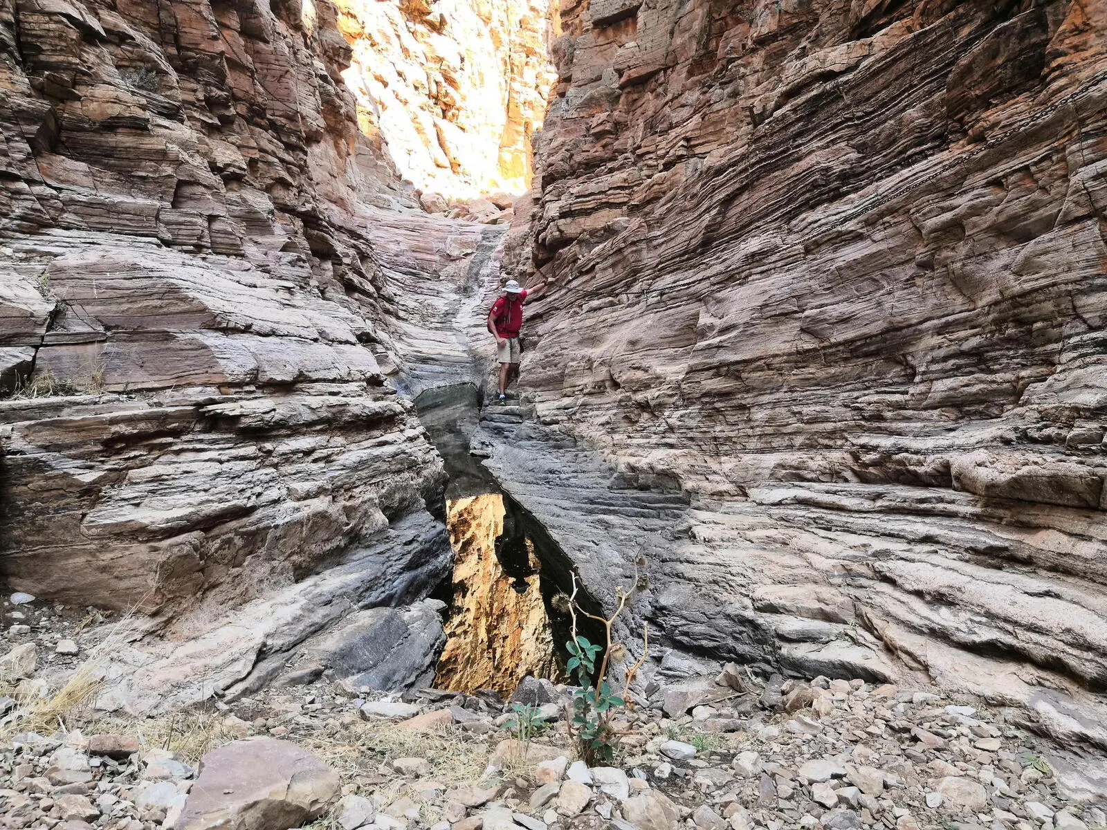 Die Vielfalt der Landschaften macht Namibia zu einem der abwechslungsreichsten Naturerlebnisse