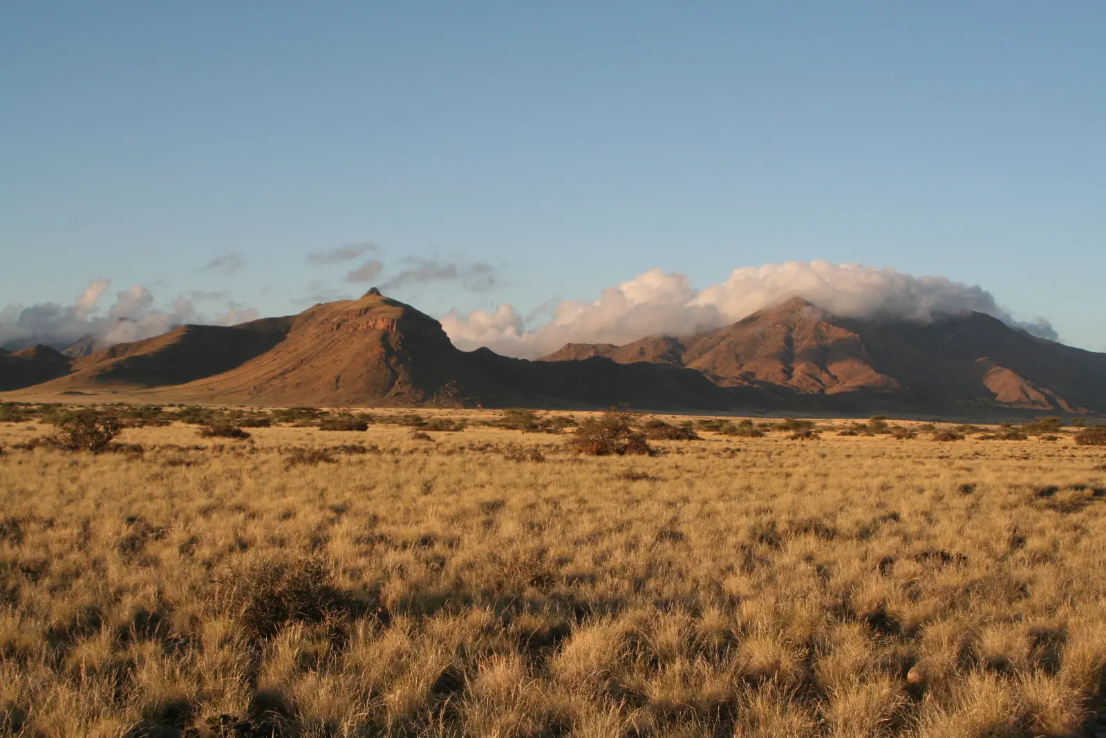Namib-Naukluft Nationalpark