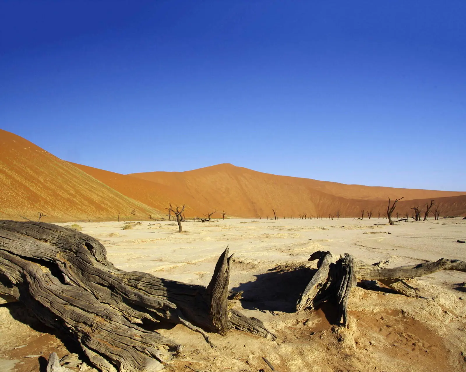 Die Namib-Wüste ist eine der ältesten Wüsten der Welt