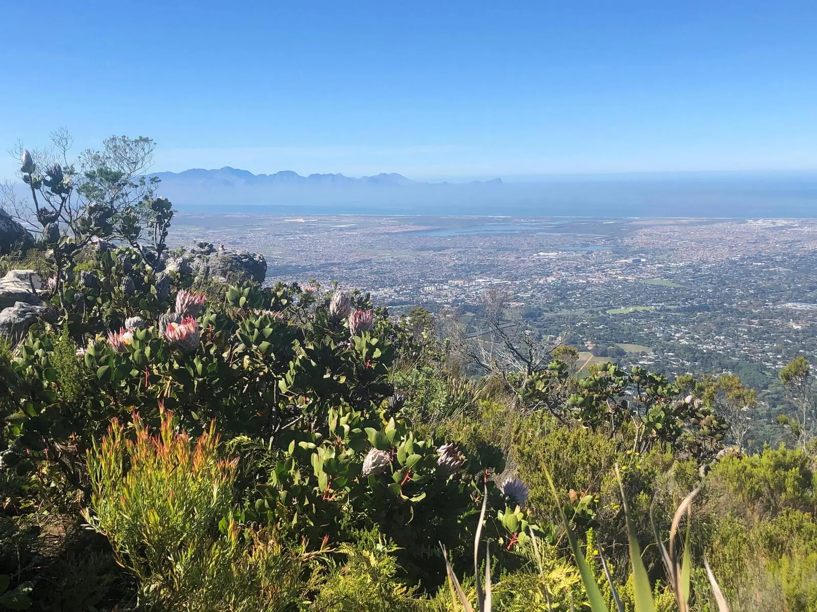 Ausblicke auf dem Rückweg vom Tafelberg Plateau
