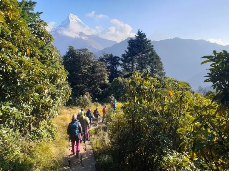 Wandern zwischen üppigen Rhododendronwäldern und schneegekrönten Bergriesen
