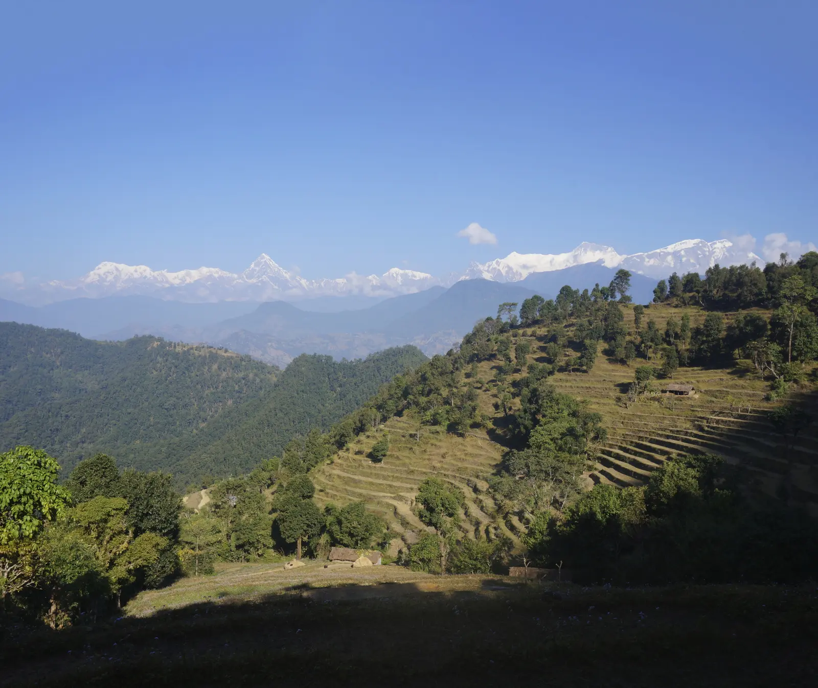 Leichte Wanderungen führen durchs ländliche Nepal.